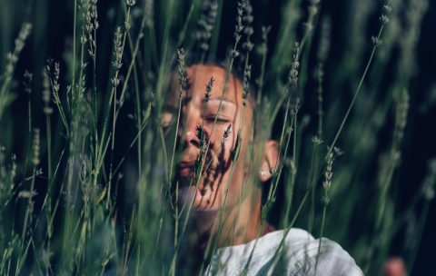 curso mindfulness Sevilla